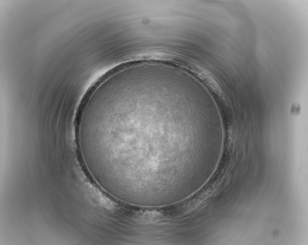 X0000094210784200711021115