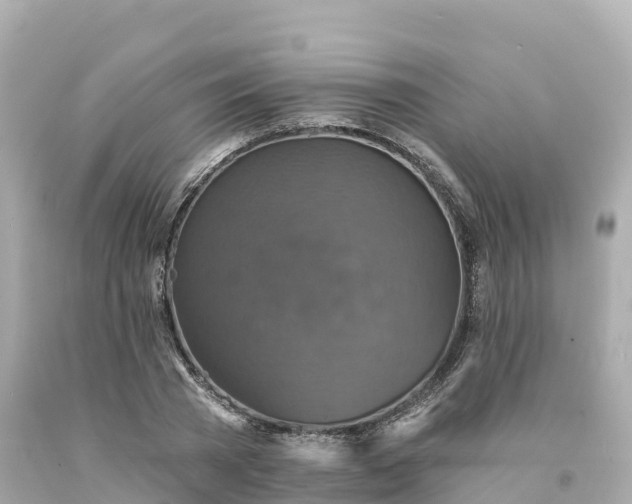 X0000094210785200711021115