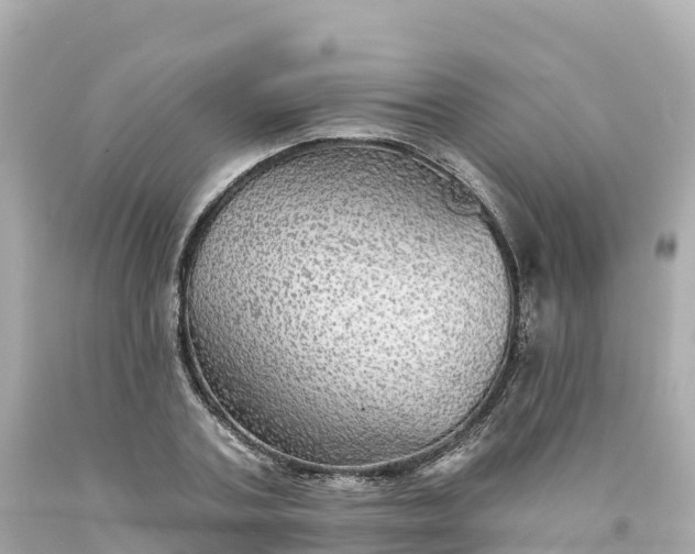 X0000094210787200711021115