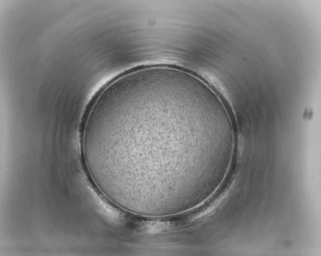 X0000094210789200711021115