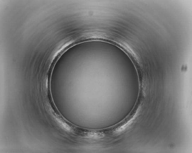 X0000094210790200711021115