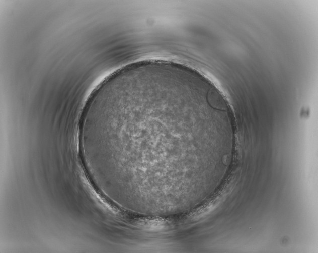 X0000094210791200711021115