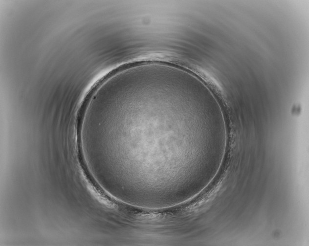 X0000094210792200711021115