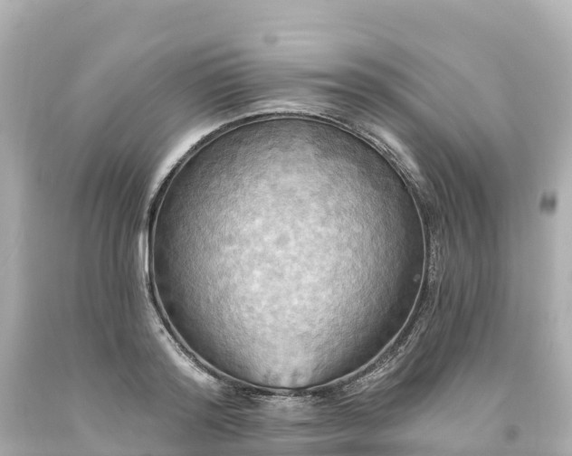 X0000094210796200711021114