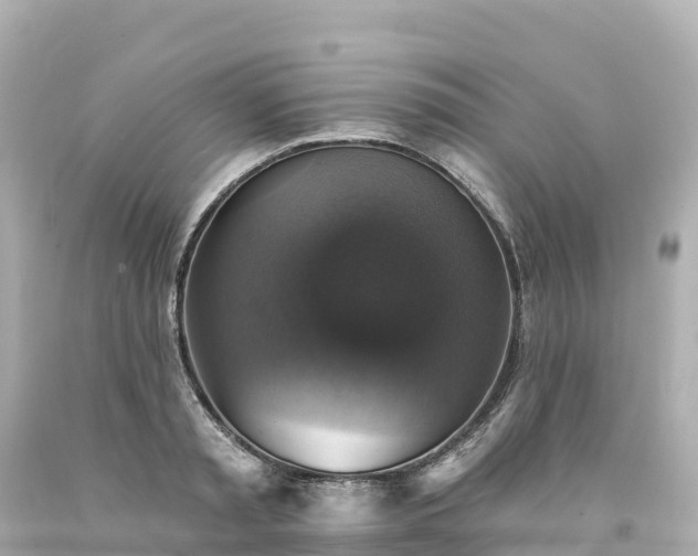 X0000094210797200711021114