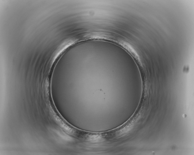 X0000094210798200711021114