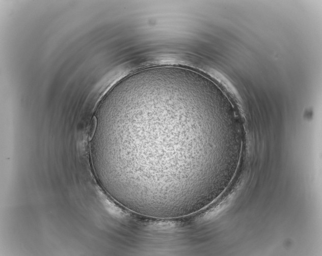 X0000094210801200711021114