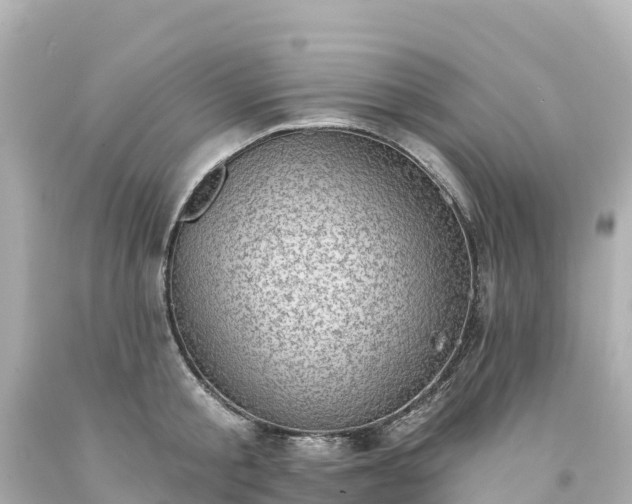 X0000094210805200711021114
