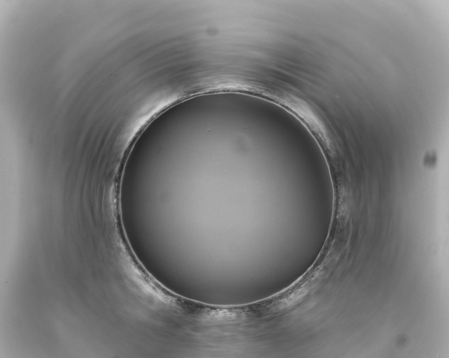 X0000094210806200711021114
