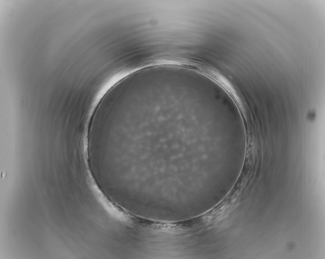 X0000094210811200711021114