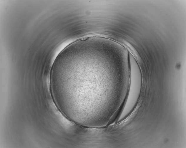 X0000094210812200711021114