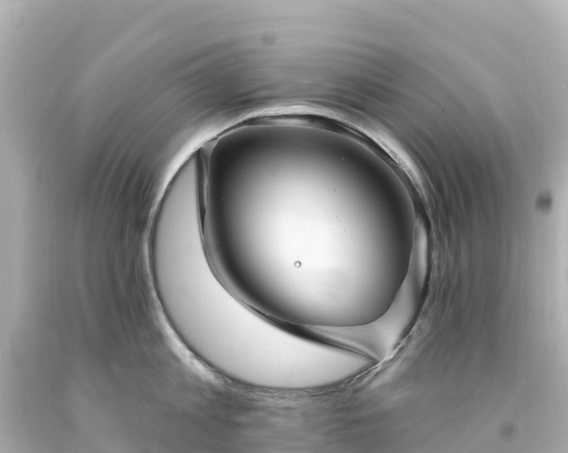 X0000094210813200711021114