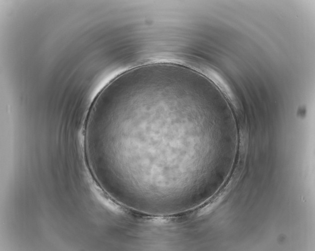 X0000094210814200711021114