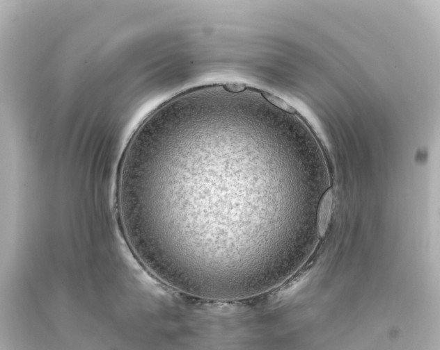 X0000094210815200711021114