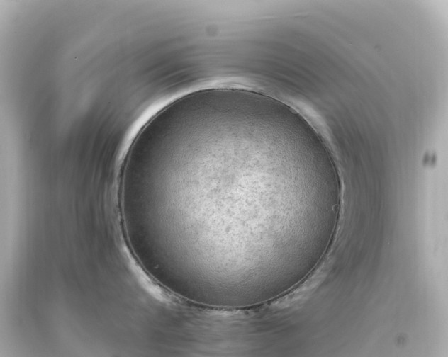 X0000094210816200711021114
