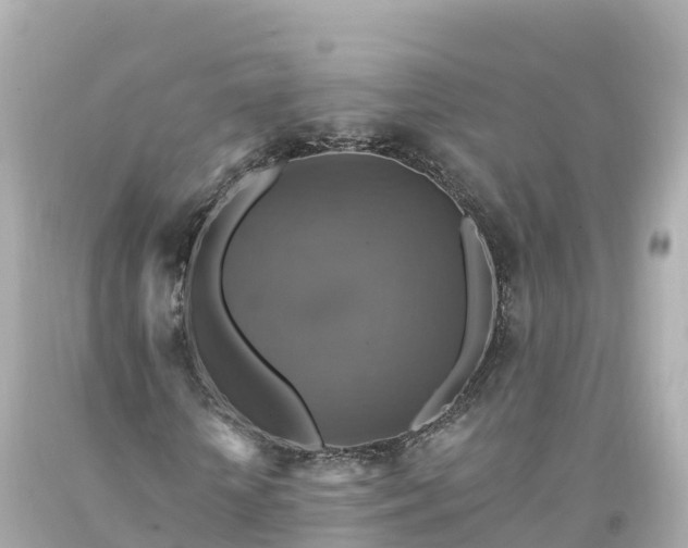 X0000094210818200711021113
