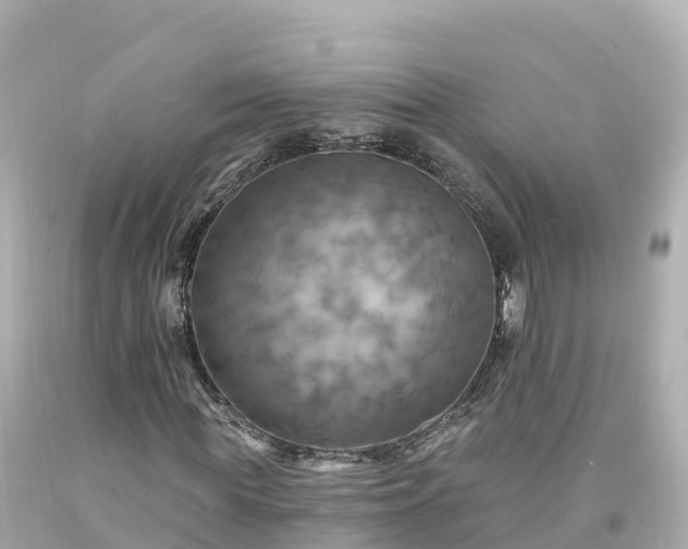 X0000094210819200711021113