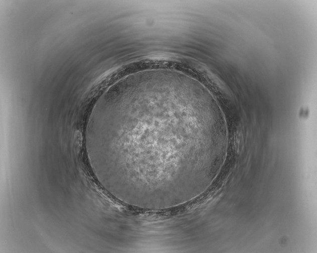 X0000094210821200711021113