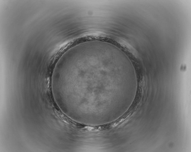 X0000094210822200711021113