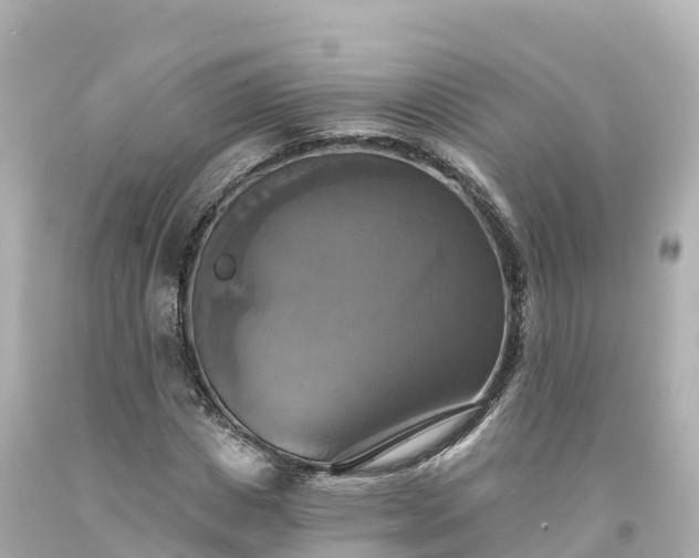 X0000094210825200711021113