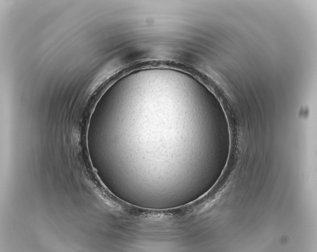 X0000094210826200711021113