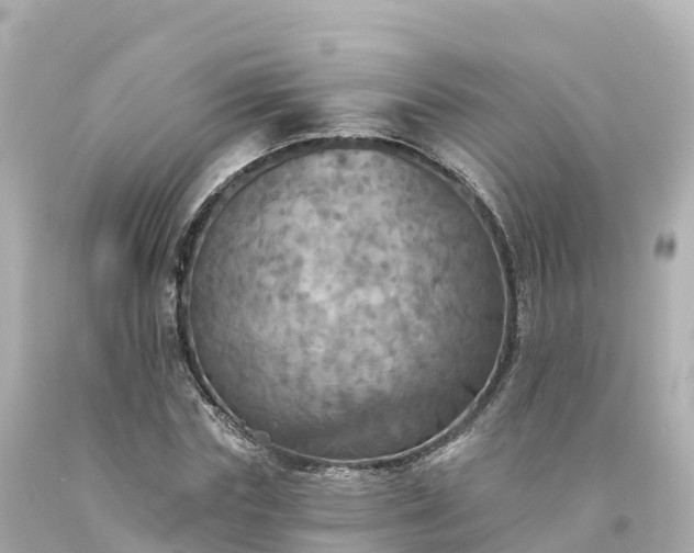 X0000094210827200711021113