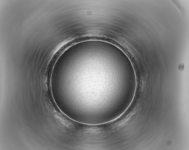 X0000094210830200711021114
