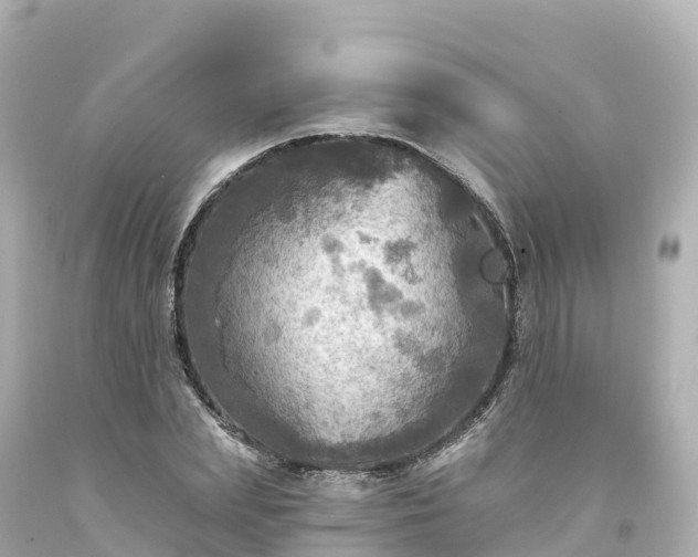 X0000094210831200711021114
