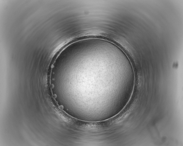 X0000094210834200711021114