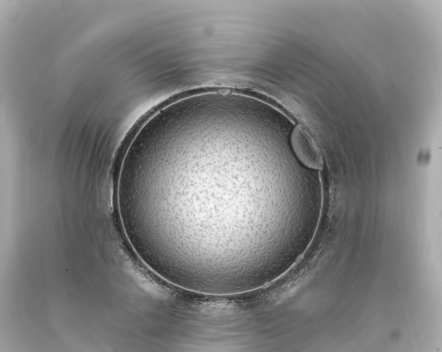 X0000094210838200711021114