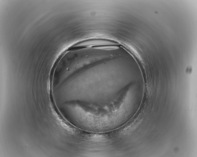 X0000094210839200711021114