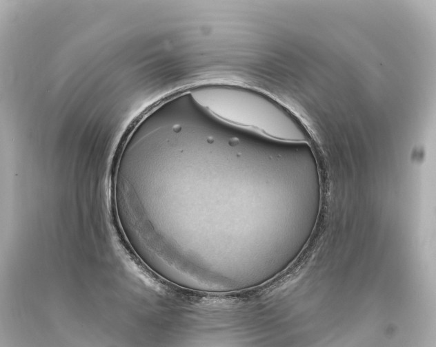 X0000094210840200711021114
