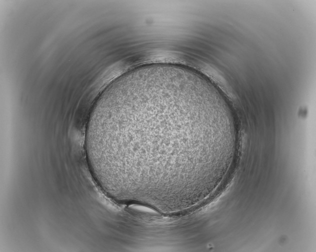 X0000094210841200711021114