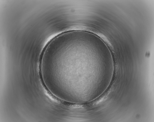 X0000094210846200711021114