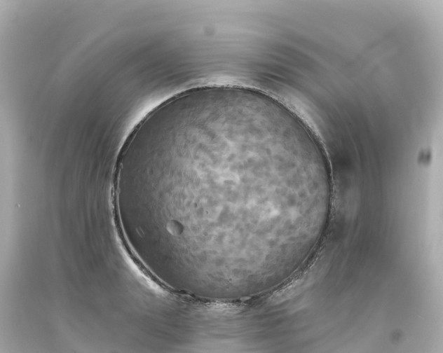 X0000094210847200711021114