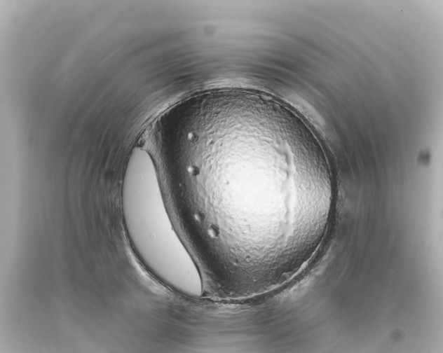 X0000094210849200711021114