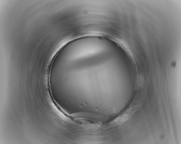 X0000094210851200711021114