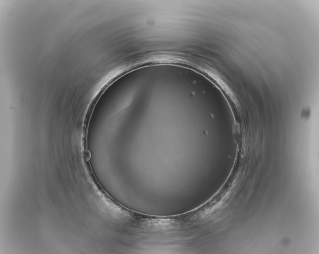 X0000094210853200711021114