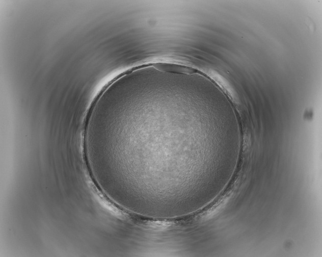 X0000094210854200711021114