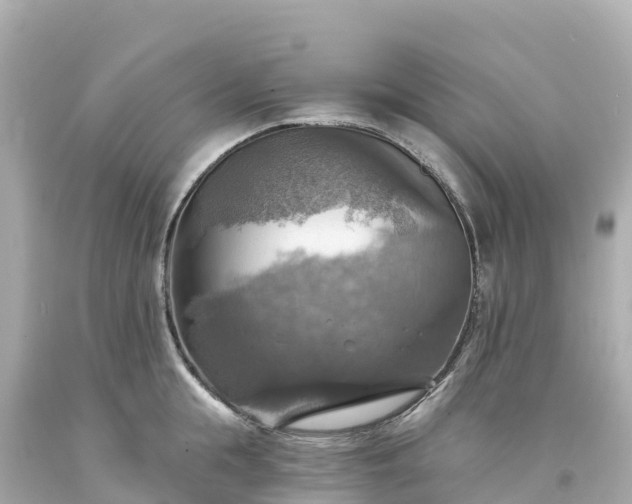 X0000094210855200711021114
