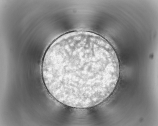 X0000094210856200711021114