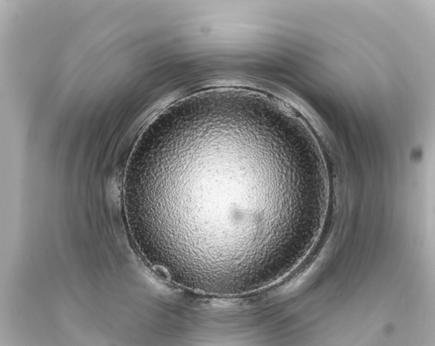 X0000094210857200711021114