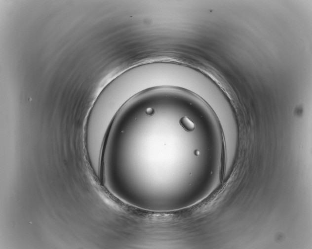 X0000094210858200711021114