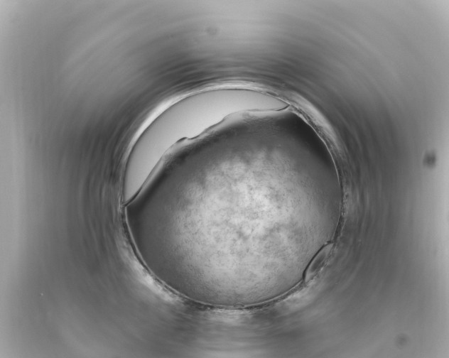 X0000094210860200711021114