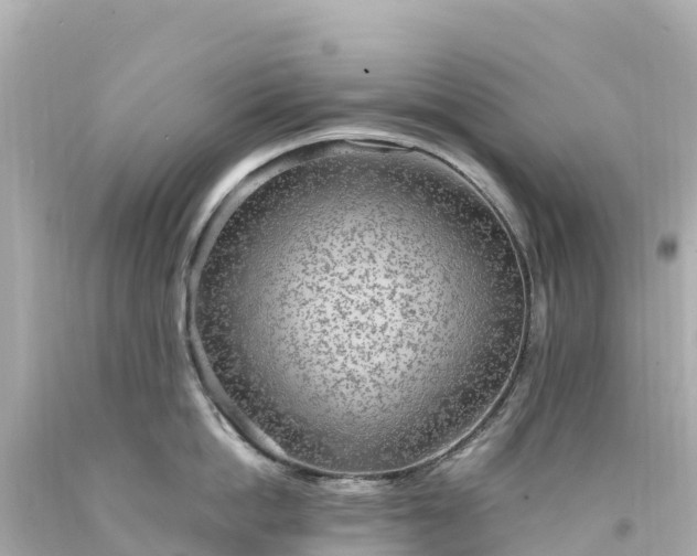 X0000094210862200711021114