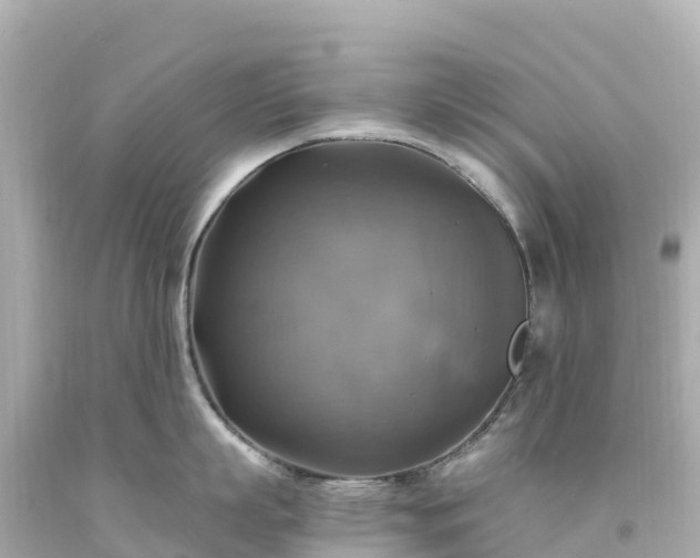 X0000094210863200711021114