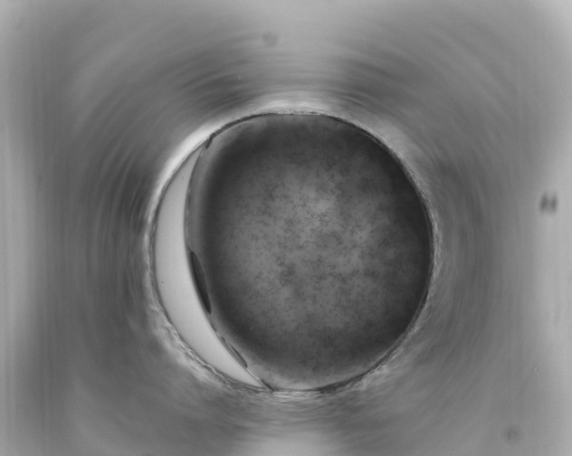 X0000094210864200711021114