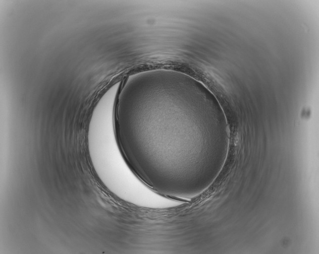 X0000094210868200711021113