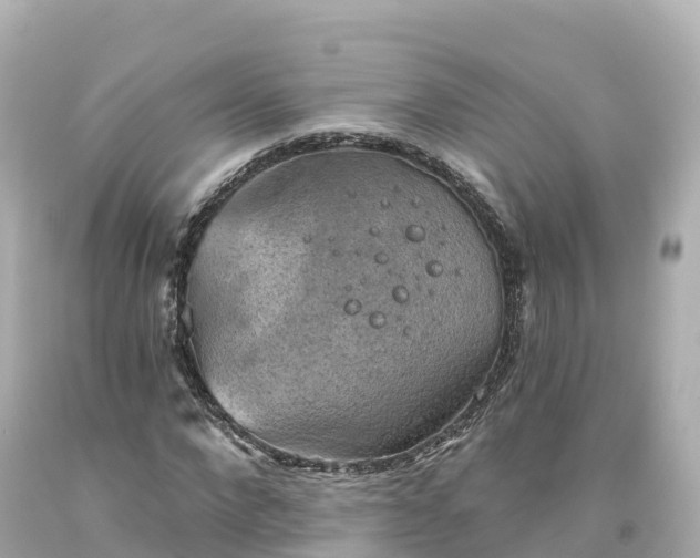 X0000094210872200711021113