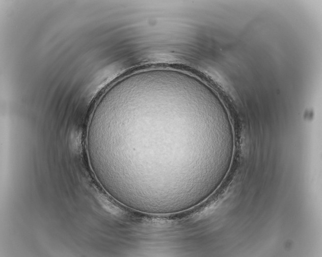 X0000094210873200711021113